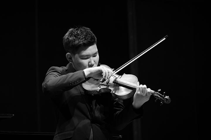 Violin